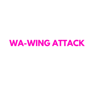 WING ATTACK - NETBALL