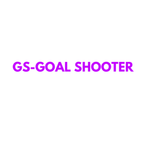 GOAL SHOOTER - NETBALL