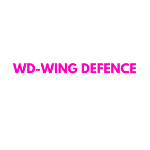 WING DEFENCE - NETBALL